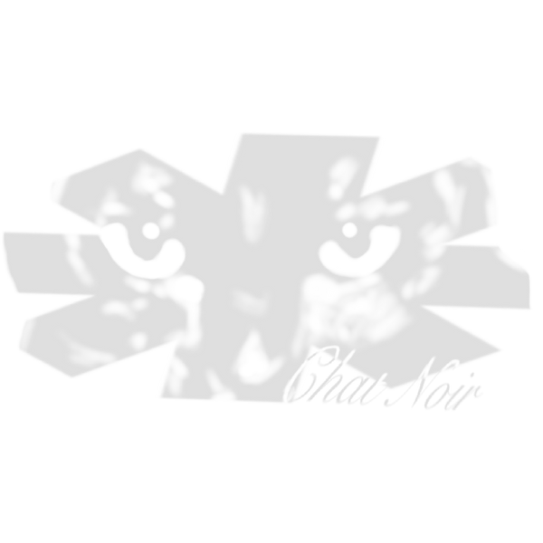 Chat Noir MTL